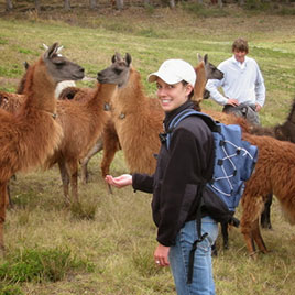 woman standing with alpacas