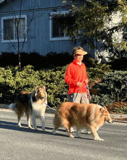 bernadine fong walking two dogs