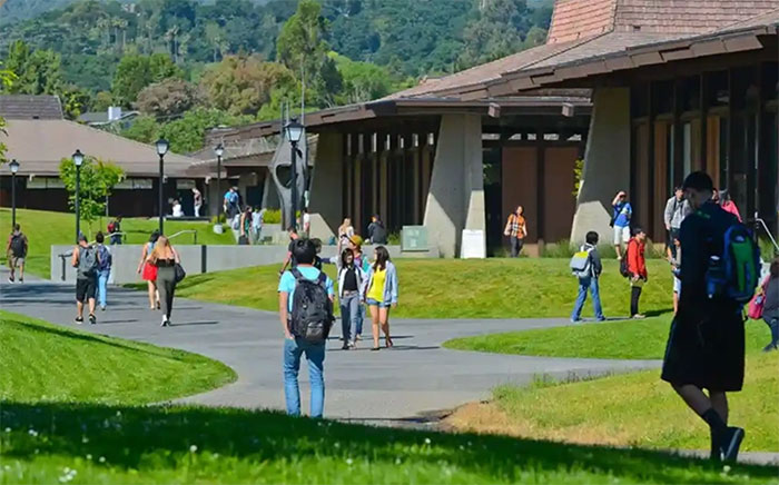 students walking in front of library pathway