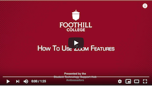 How to Use Zoom Features